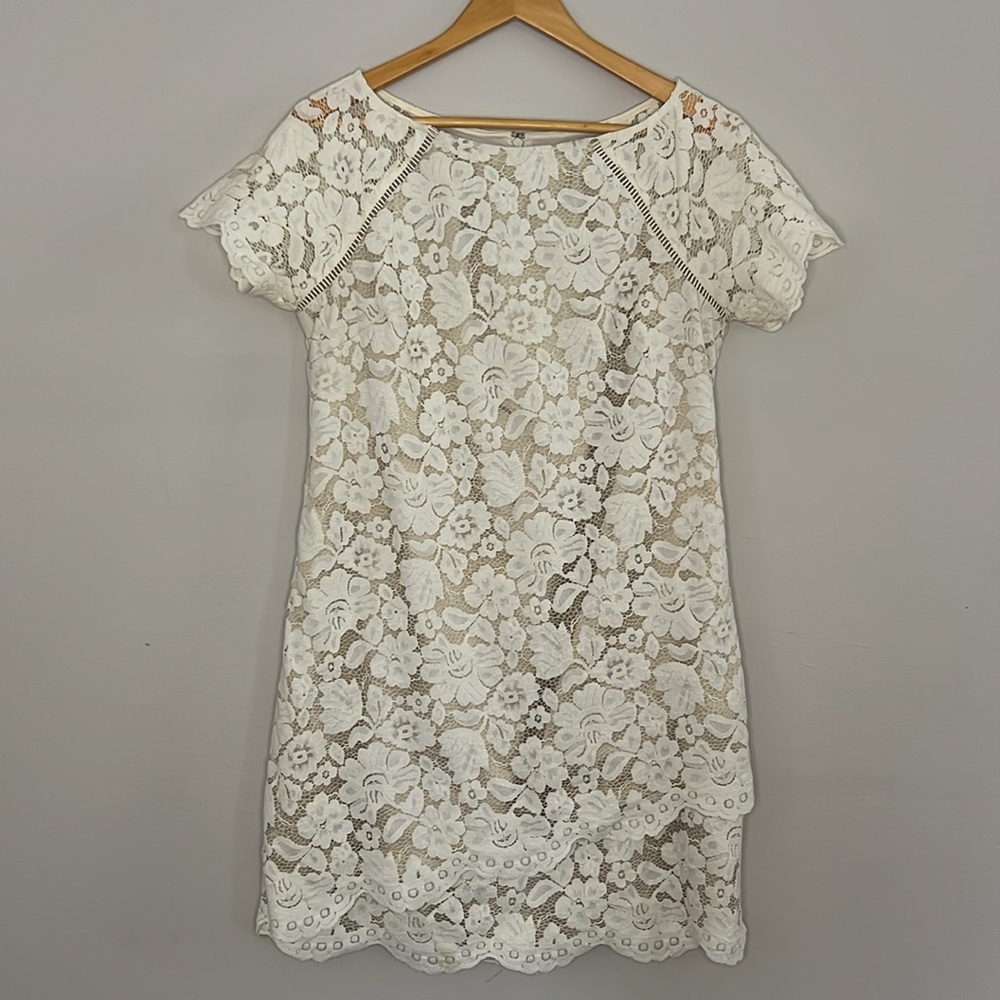 VINCE CAMUTO Floral Lace Scallopped Mini Dress Straight Shift Size 12